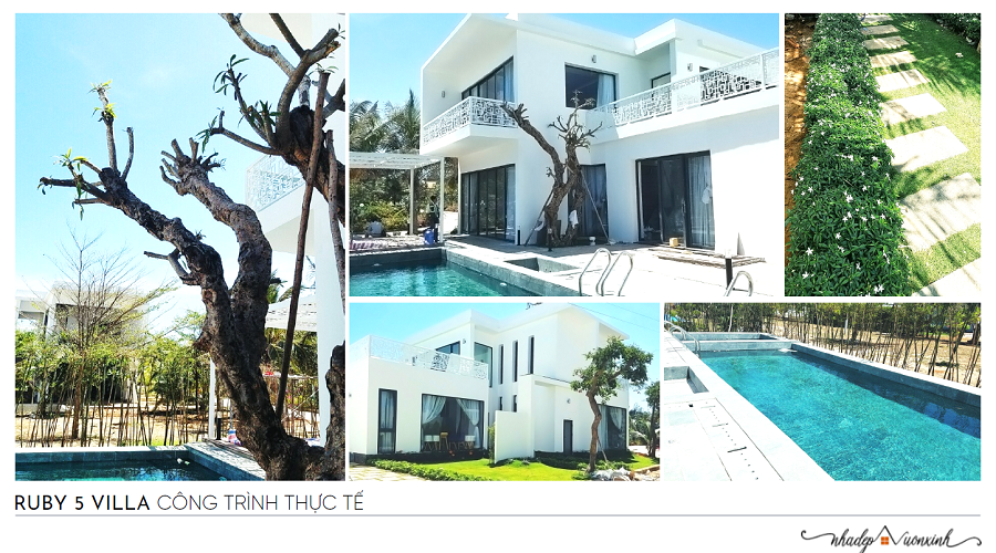 Biệt thự Ruby 5 hình 4